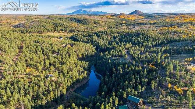 MLS Image for 71  Durelli  ,Woodland Park, Colorado