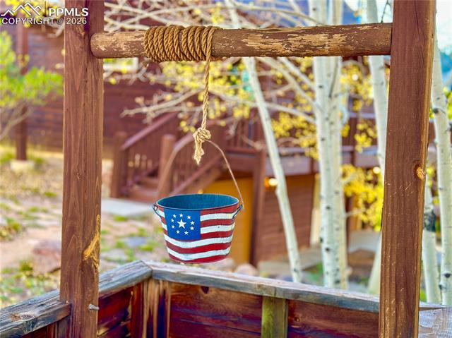 MLS Image for 71  Durelli  ,Woodland Park, Colorado