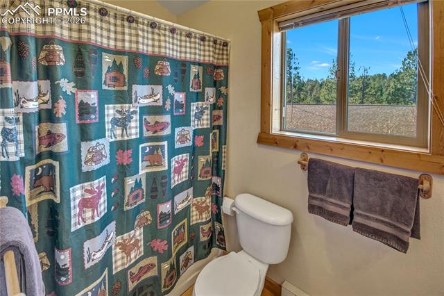 MLS Image for 71  Durelli  ,Woodland Park, Colorado