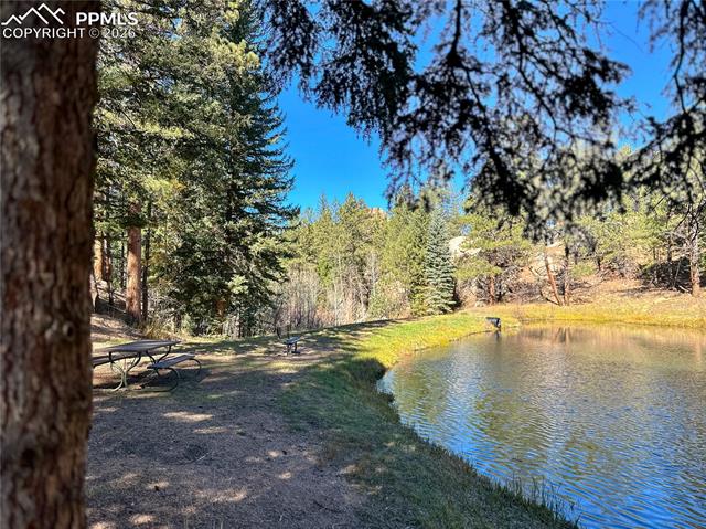 MLS Image for 71  Durelli  ,Woodland Park, Colorado