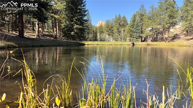 MLS Image for 71  Durelli  ,Woodland Park, Colorado