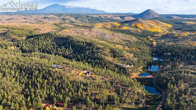 MLS Image for 71  Durelli  ,Woodland Park, Colorado