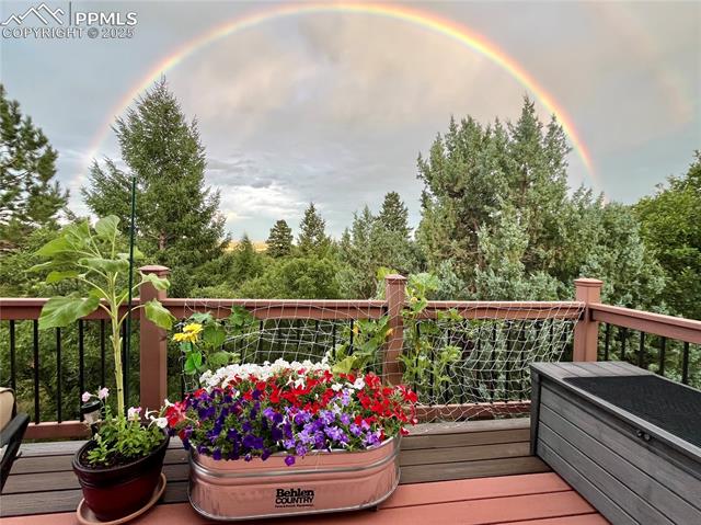 MLS Image for 6584  Pike  ,Larkspur, Colorado