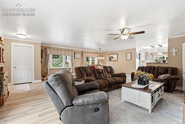 MLS Image for 6430  Burrows  ,Colorado Springs, Colorado