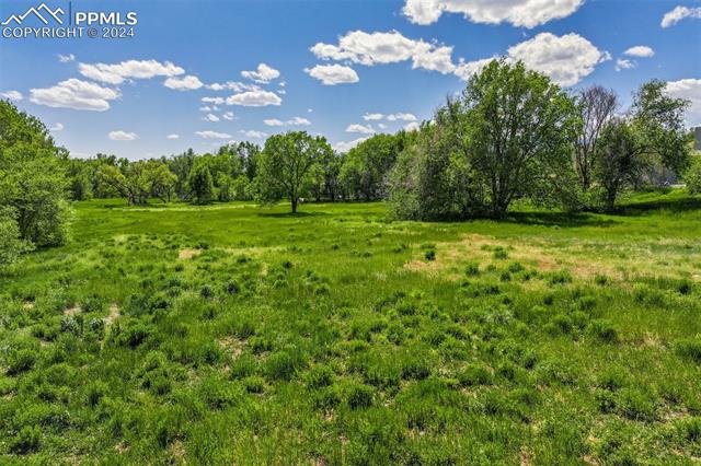 MLS Image for 114  Kokomo  ,Colorado Springs, Colorado