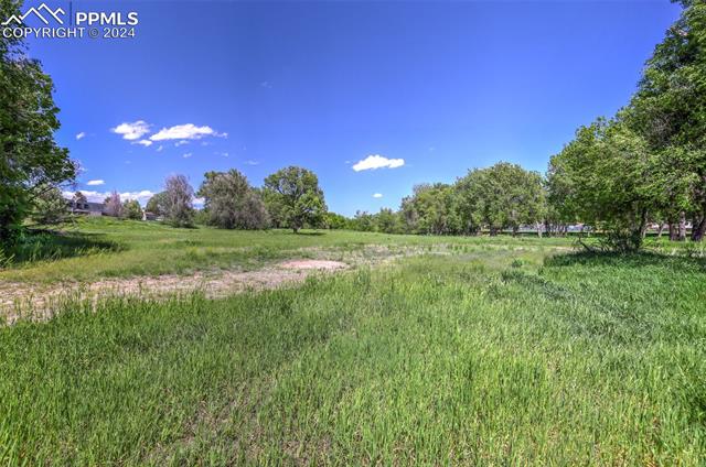 MLS Image for 114  Kokomo  ,Colorado Springs, Colorado