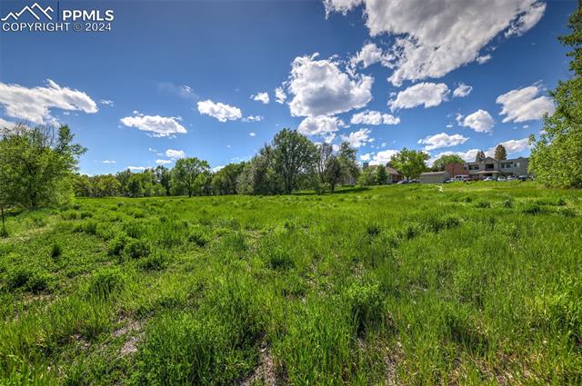 MLS Image for 114  Kokomo  ,Colorado Springs, Colorado