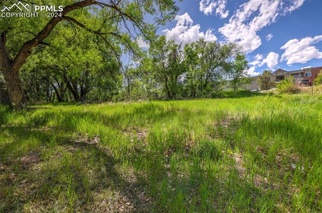 MLS Image for 114  Kokomo  ,Colorado Springs, Colorado