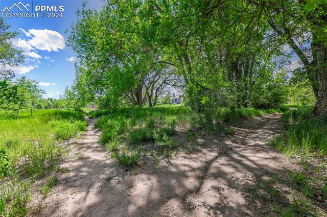 MLS Image for 114  Kokomo  ,Colorado Springs, Colorado