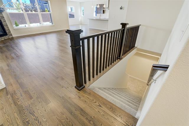 MLS Image for 11183  Faint Wind  ,Colorado Springs, Colorado