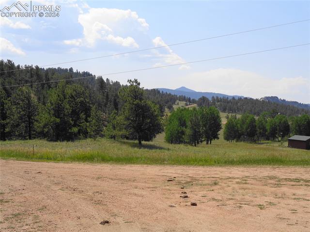 MLS Image for 21  Cheyenne  ,Florissant, Colorado