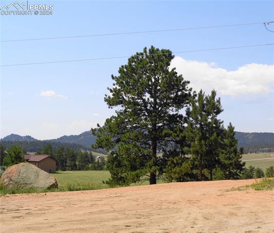 MLS Image for 21  Cheyenne  ,Florissant, Colorado