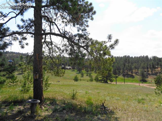 MLS Image for 21  Cheyenne  ,Florissant, Colorado