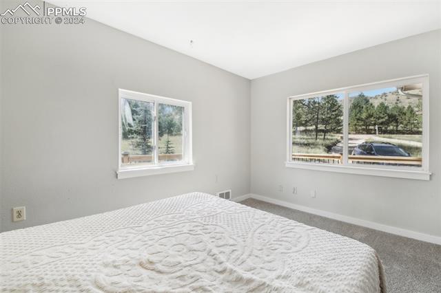 MLS Image for 13368  Hedi  ,Woodland Park, Colorado