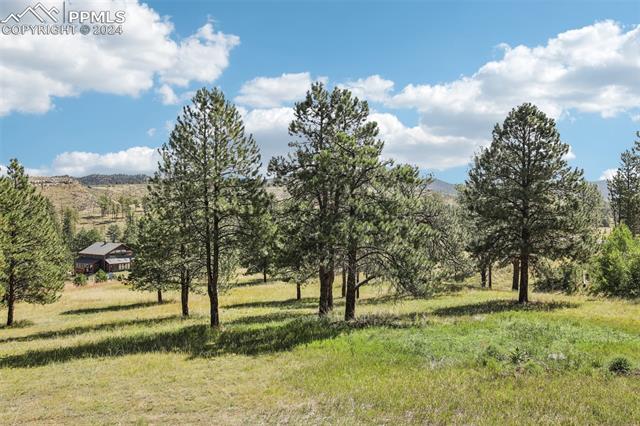 MLS Image for 13368  Hedi  ,Woodland Park, Colorado