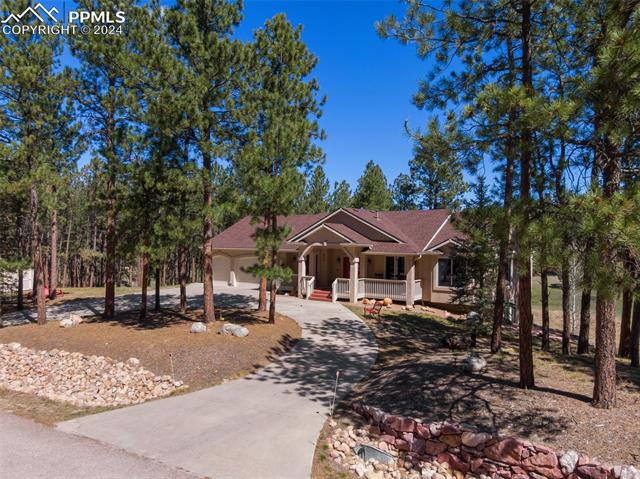 MLS Image for 210  Saddlehorn  ,Monument, Colorado
