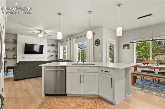 MLS Image for 10239  Odin  ,Colorado Springs, Colorado