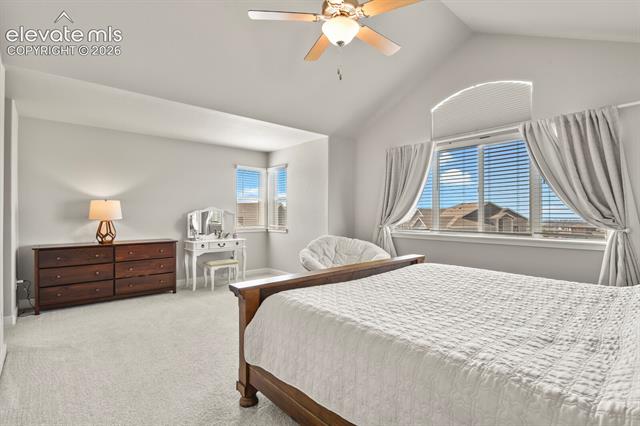 MLS Image for 10239  Odin  ,Colorado Springs, Colorado