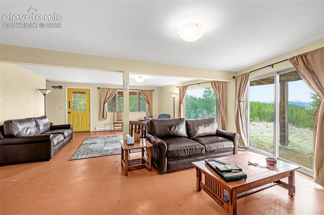 MLS Image for 1736  COUNTY ROAD 3  ,Florissant, Colorado
