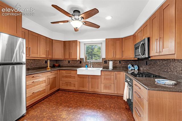 MLS Image for 1736  COUNTY ROAD 3  ,Florissant, Colorado