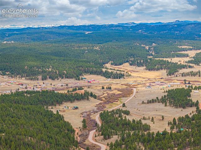 MLS Image for 1736  COUNTY ROAD 3  ,Florissant, Colorado