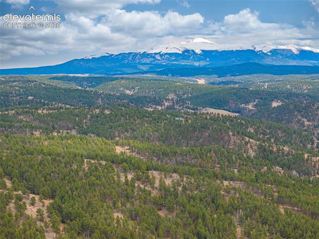 MLS Image for 1736  COUNTY ROAD 3  ,Florissant, Colorado