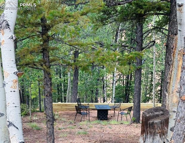 MLS Image for 577  Horseshoe  ,Divide, Colorado