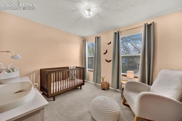 MLS Image for 3657  Ian Point  ,Colorado Springs, Colorado