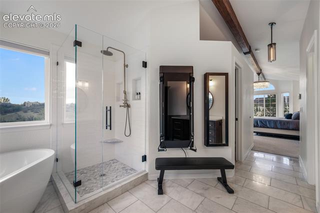 MLS Image for 556  Coyote Willow  ,Colorado Springs, Colorado