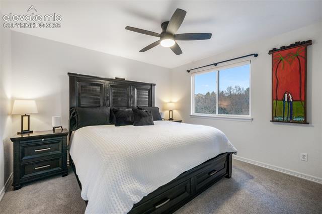 MLS Image for 556  Coyote Willow  ,Colorado Springs, Colorado