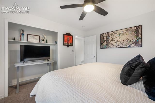 MLS Image for 556  Coyote Willow  ,Colorado Springs, Colorado