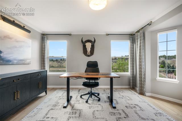 MLS Image for 556  Coyote Willow  ,Colorado Springs, Colorado