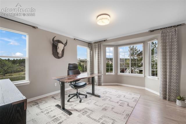 MLS Image for 556  Coyote Willow  ,Colorado Springs, Colorado