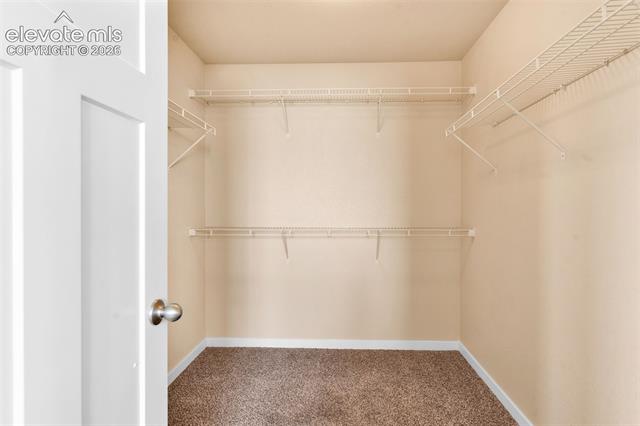 MLS Image for 2515  Reed Grass  ,Colorado Springs, Colorado