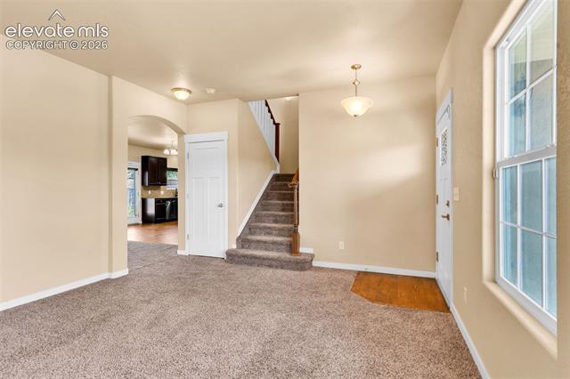 MLS Image for 2515  Reed Grass  ,Colorado Springs, Colorado