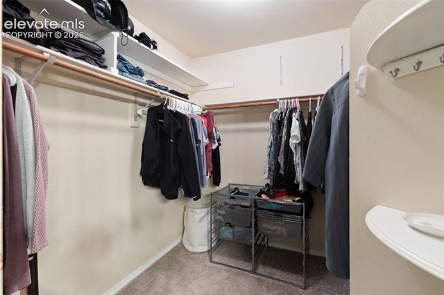 MLS Image for 2835  Coldwater  ,Colorado Springs, Colorado