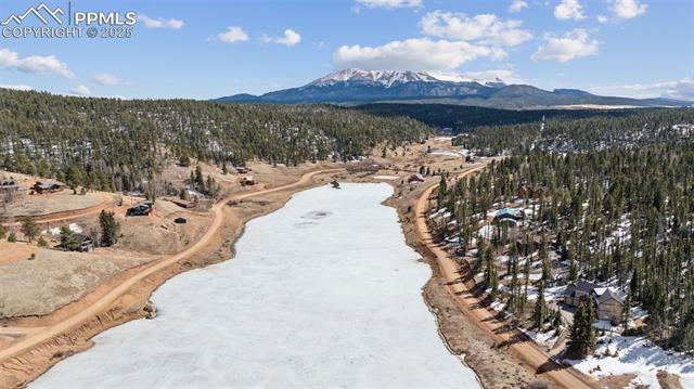 MLS Image for 713  Spring Valley  ,Divide, Colorado