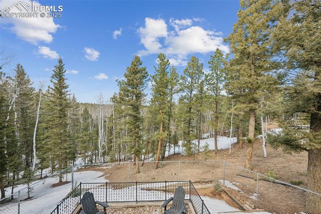 MLS Image for 713  Spring Valley  ,Divide, Colorado