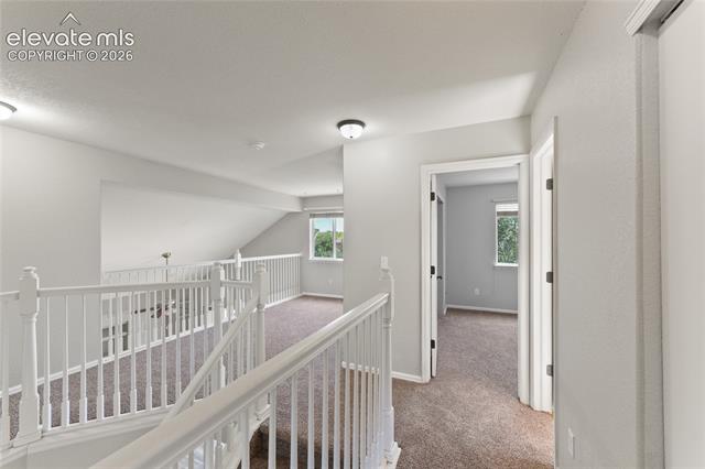MLS Image for 5163  Belle Star  ,Colorado Springs, Colorado