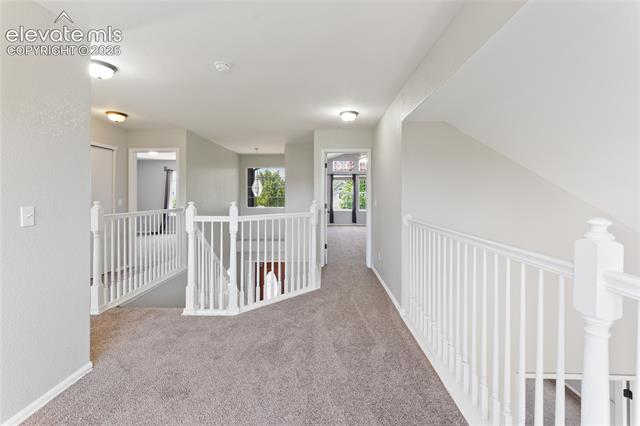 MLS Image for 5163  Belle Star  ,Colorado Springs, Colorado