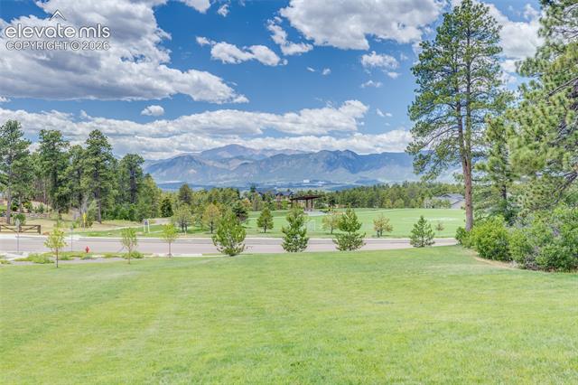 MLS Image for 747  Sage Forest  ,Monument, Colorado