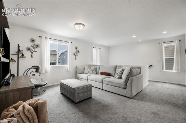 MLS Image for 6365  Bodacious  ,Colorado Springs, Colorado