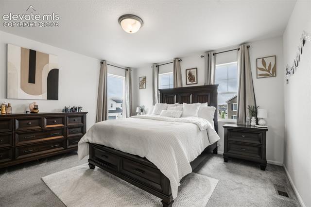 MLS Image for 6365  Bodacious  ,Colorado Springs, Colorado
