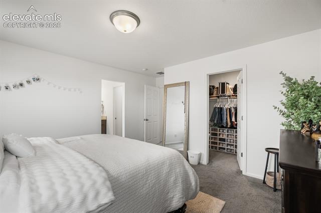 MLS Image for 6365  Bodacious  ,Colorado Springs, Colorado