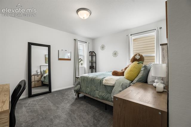 MLS Image for 6365  Bodacious  ,Colorado Springs, Colorado