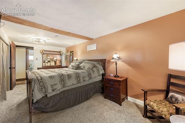 MLS Image for 919 W Browning  ,Woodland Park, Colorado