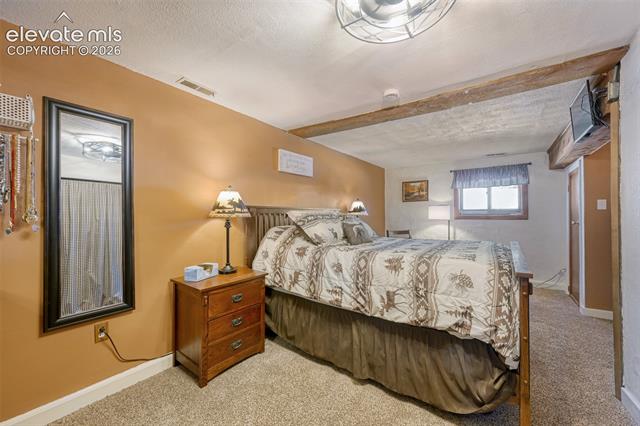 MLS Image for 919 W Browning  ,Woodland Park, Colorado