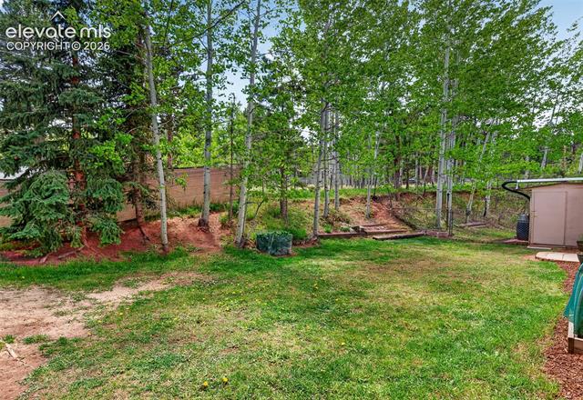 MLS Image for 919 W Browning  ,Woodland Park, Colorado