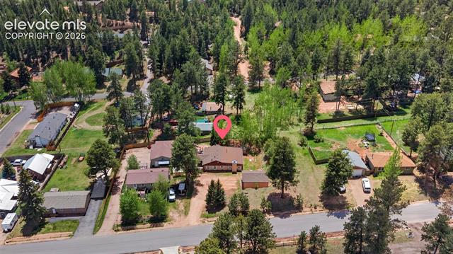 MLS Image for 919 W Browning  ,Woodland Park, Colorado