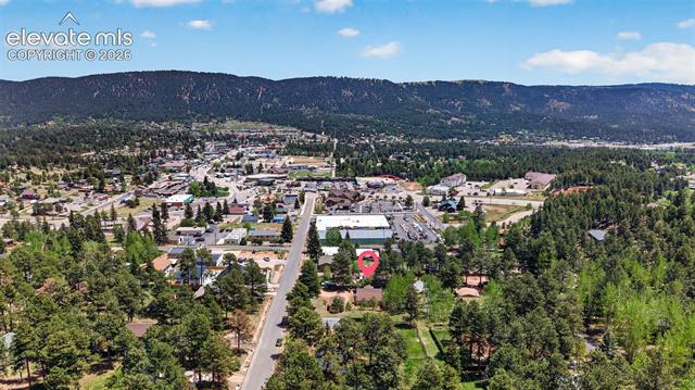 MLS Image for 919 W Browning  ,Woodland Park, Colorado